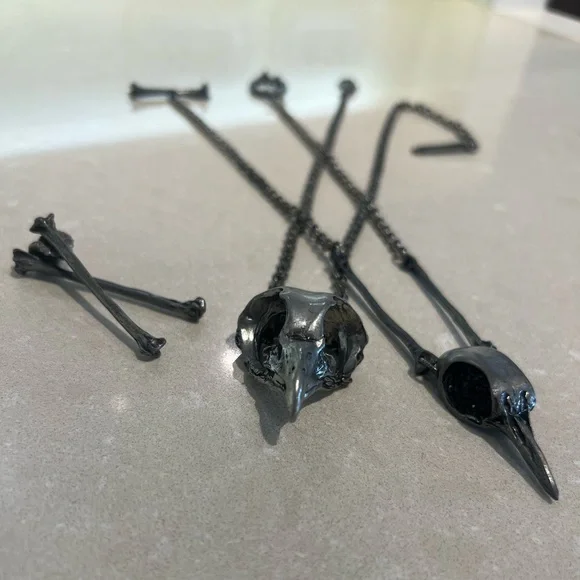 Black Bird Skull Necklace and Bone Earrings Set - Picture 2 of 11